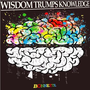 wisdom trumps knowledge