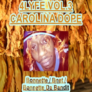 Alt 4Lyfe Vol.3 cover pic